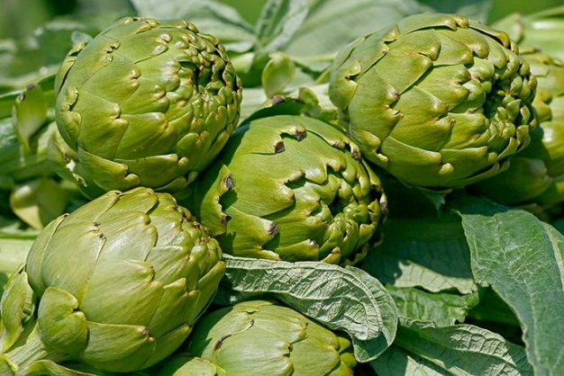 Coğrafi işareti alan 2.2 kat kârlı satıyor