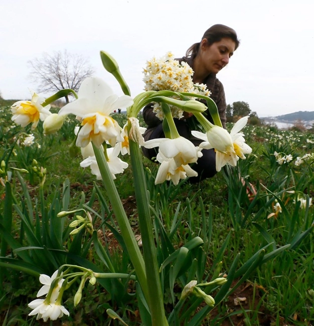 Coğrafi işareti alan 2.2 kat kârlı satıyor