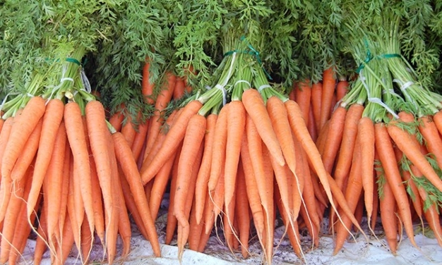 Kuveyt havuç ve marul ithalatını yasakladı