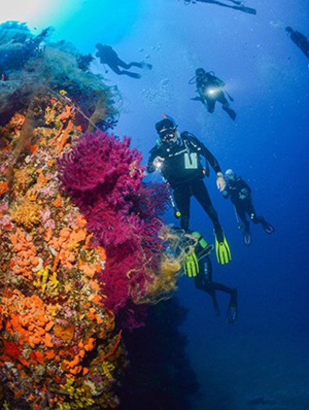 Sualtı 300 milyon dolar