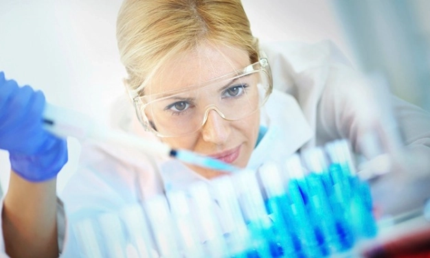 İhracatçı firmalara inovasyon projesi