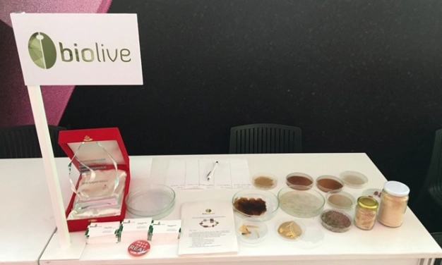 Zeytin özütünü plastiğe dönüştürdü