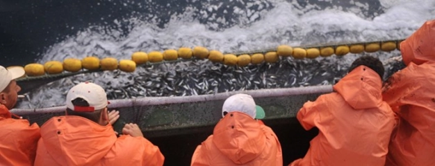 Deniz soğudukça tezgah ısınacak