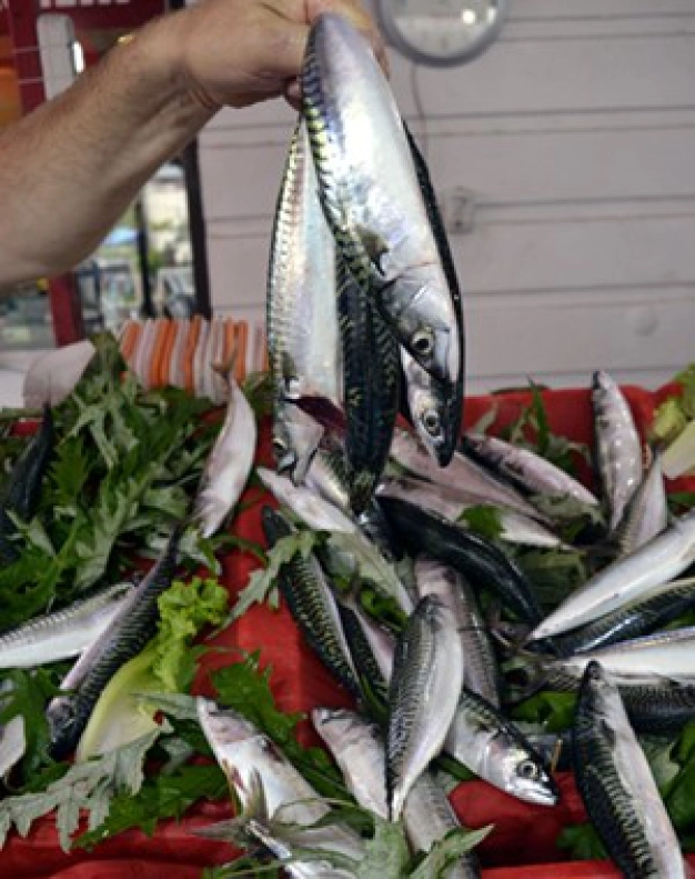 Deniz soğudukça tezgah ısınacak