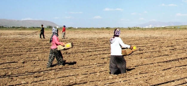 Kırsal kalkınmaya 122 milyon Euro bütçe