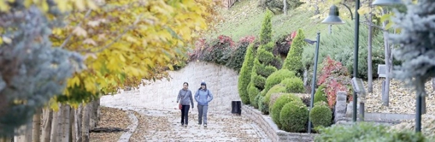 Anadolu sonbaharla tuvale dönüştü