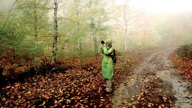 Anadolu sonbaharla tuvale dönüştü