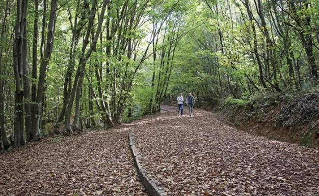 Anadolu sonbaharla tuvale dönüştü