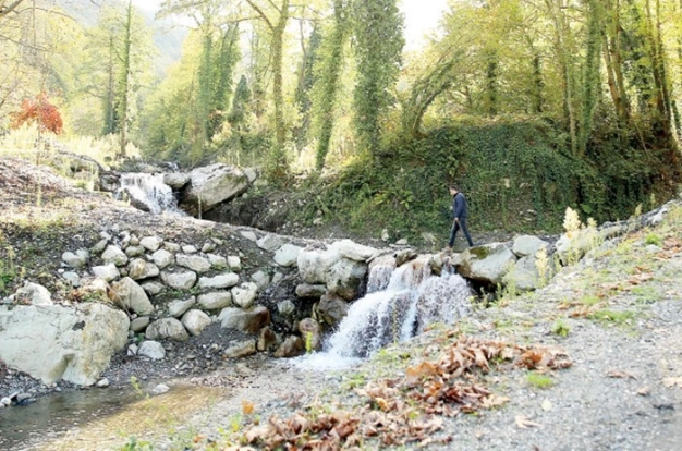Anadolu sonbaharla tuvale dönüştü