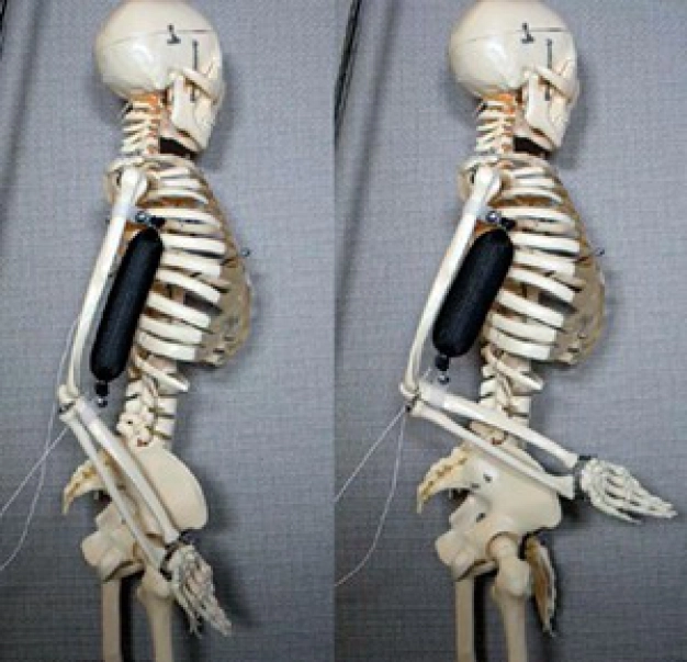 Tek tıkla dolaba teslimat