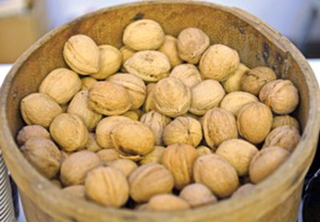 İhracatta yeni gözde organik ürünler