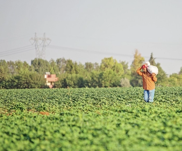 42 kentin kırsalına 252 milyon Euro