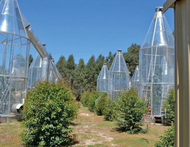 Sanal teknoloji ile yapılan ameliyat