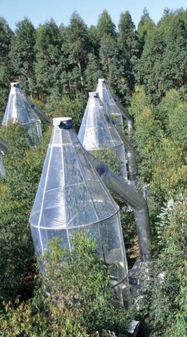 Sanal teknoloji ile yapılan ameliyat