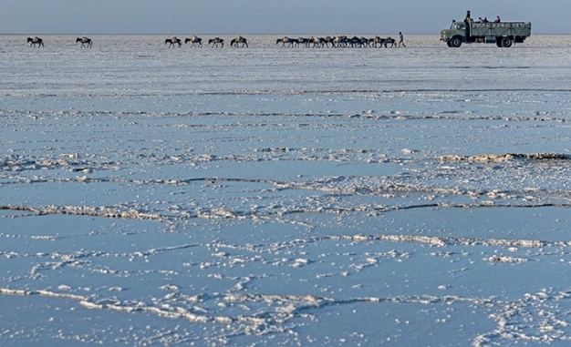 Doğu ve Güney Afrika’ya bizimle açılın