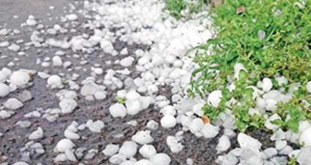 Bu meslekler kapışılıyor