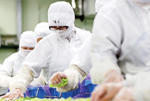 Japon gıdalara radyasyon kontrolü kaldırıldı