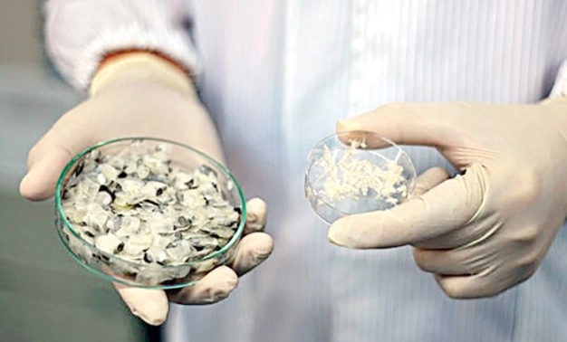 Sürücüsü olmayan taksi dönemi