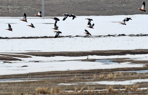 Memleketten bahar manzaraları