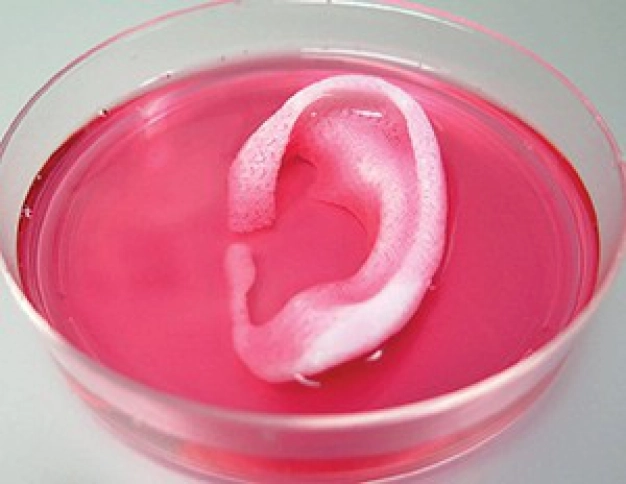 Tıpta endüstri hamlesi