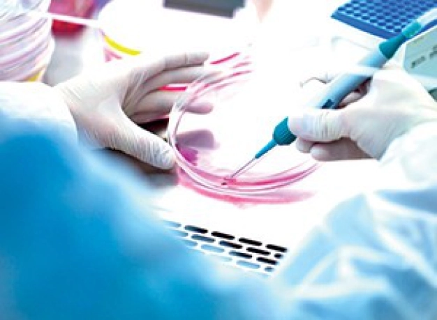 Tıpta endüstri hamlesi