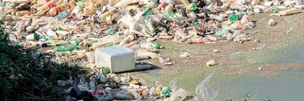 Geri dönüşümde plastik yiyen enzim umudu