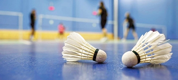 Para-badmintonda 11 madalya aldık