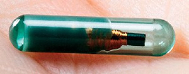 İş hayatımızı değiştirecek 7 olağanüstü buluş