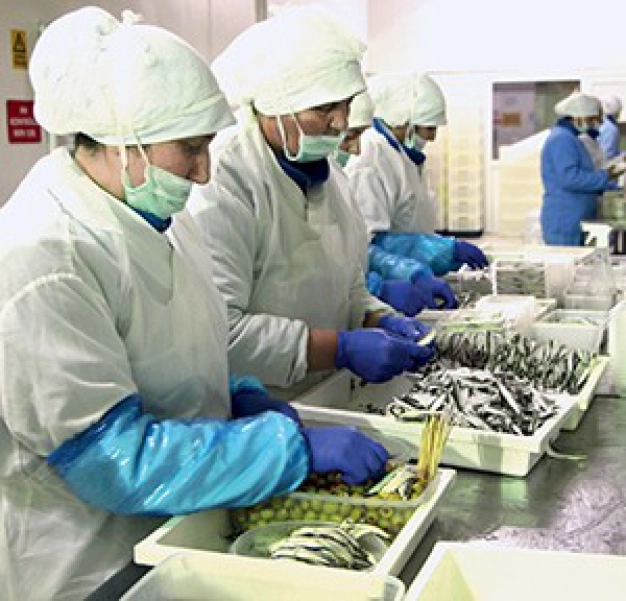 Her mevsim balık sezonu