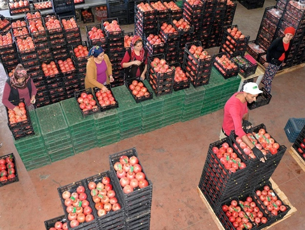 Tarımsal işletmelere 600 lira katılım desteği