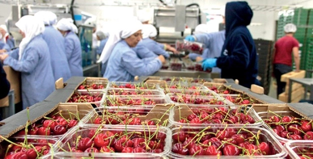 Rusya ile ticarette tarım atağı