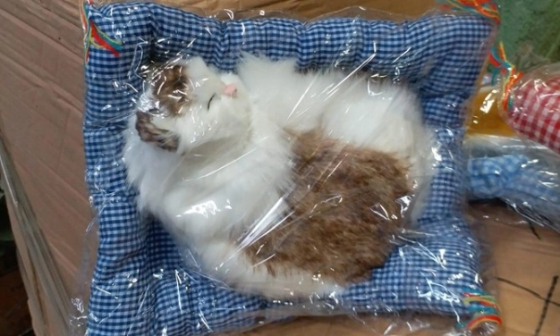 İstanbul'da sağlığa zararlı 15 bin oyuncak