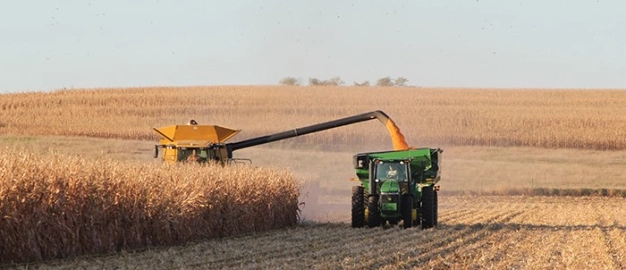 226 projeye 140 milyon lira hibe