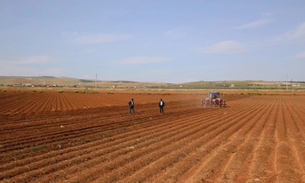 Üreticiye 3 yılda 434.5 milyon TL destek