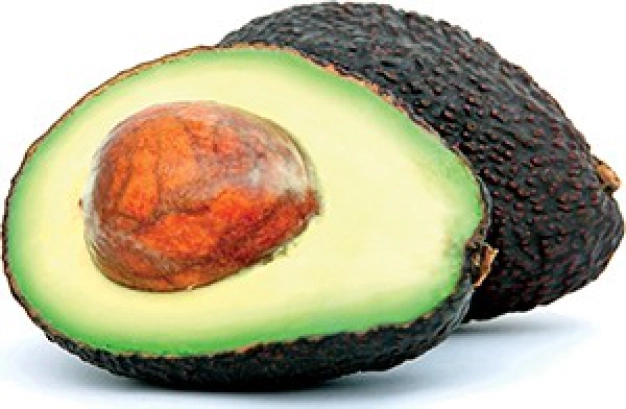 Avakado çöpünden ilaç