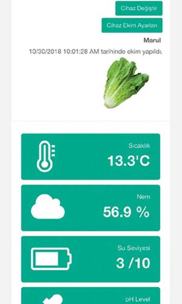 Konteynerleri seraya dönüştürüyor
