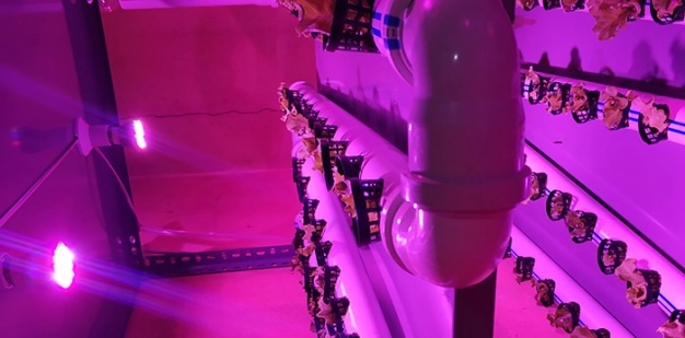 Konteynerleri seraya dönüştürüyor