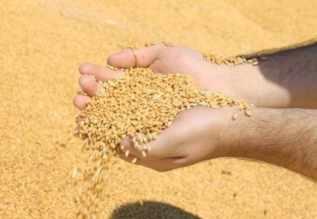 Tarım sektörü Tiran’da buluşacak