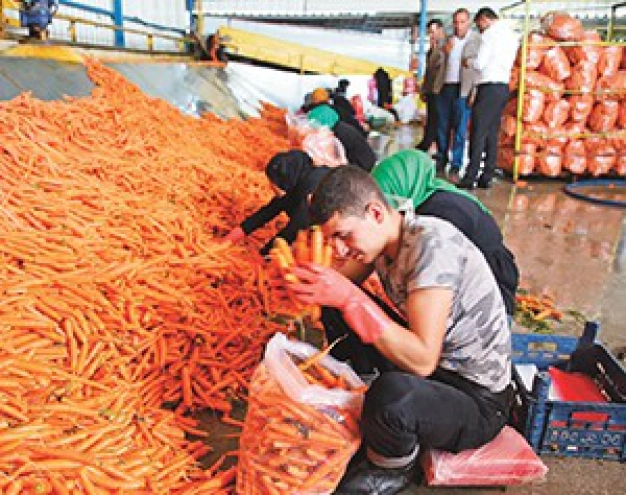 Küresel iş gücünde 164 milyon göçmen