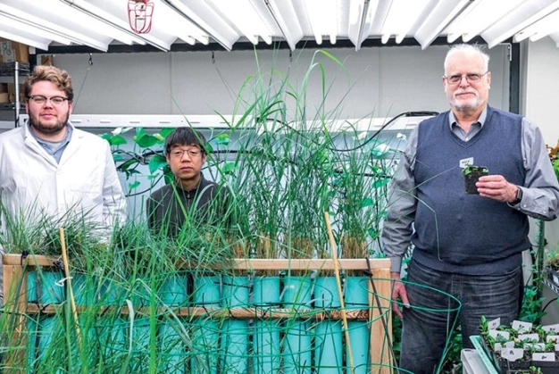 Yazıcılara dair sınırlar değişiyor