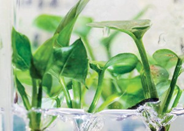 Yazıcılara dair sınırlar değişiyor