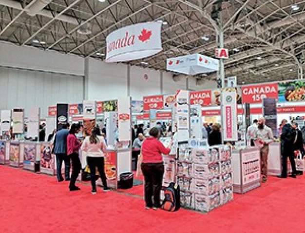 İhracatta yine yeniden rekora