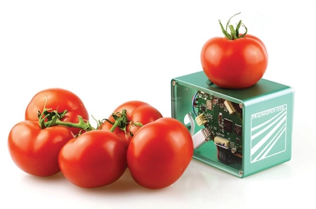 Gıdaya hızlı tazelik testi