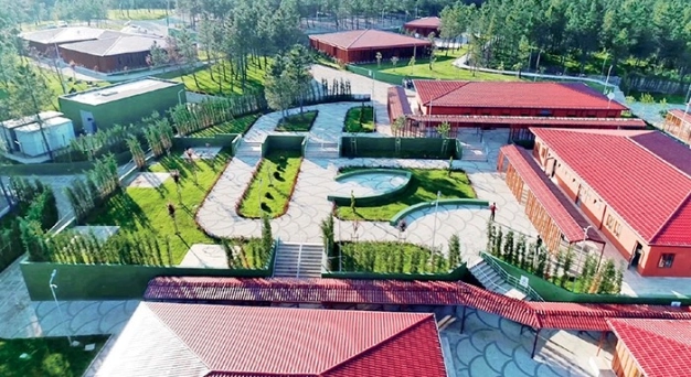 Sahipsiz dostlar için 33 barınak var