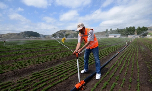 Dünya Bankası’ndan sulama altyapısına destek