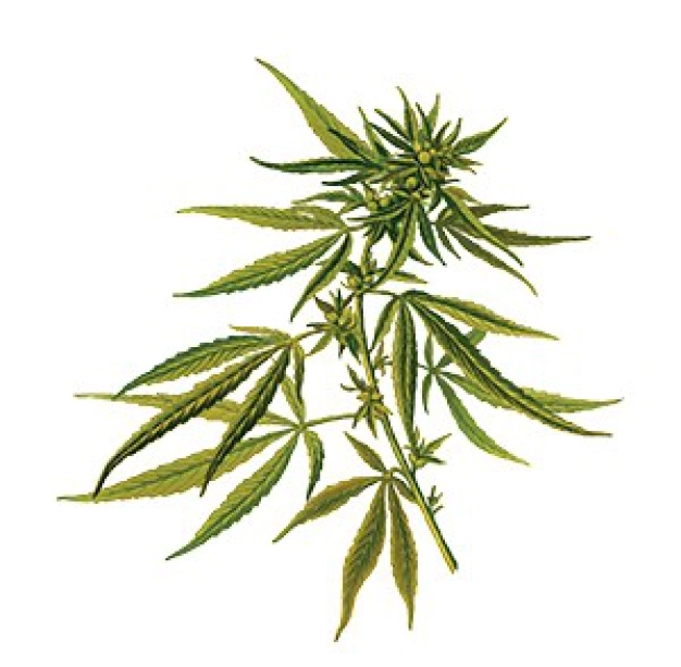 En eski hammadde en yeni gündem