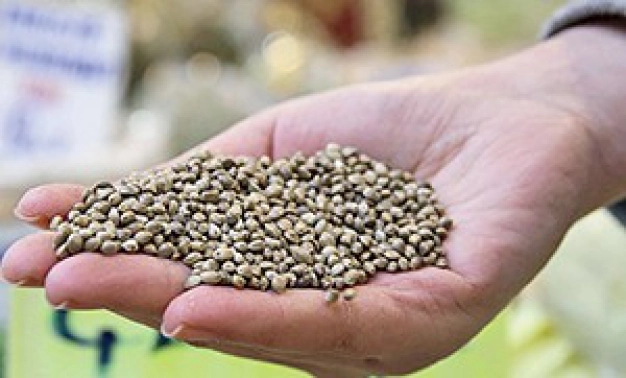 En eski hammadde en yeni gündem