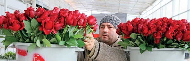 Ekonomiye şubat dopingi