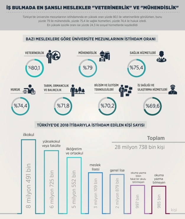 İş bulmada en şanslı meslekler 'veterinerlik' ve 'mühendislik'