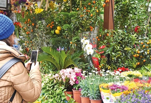 Lüks değil ekonomiye zarif katkı